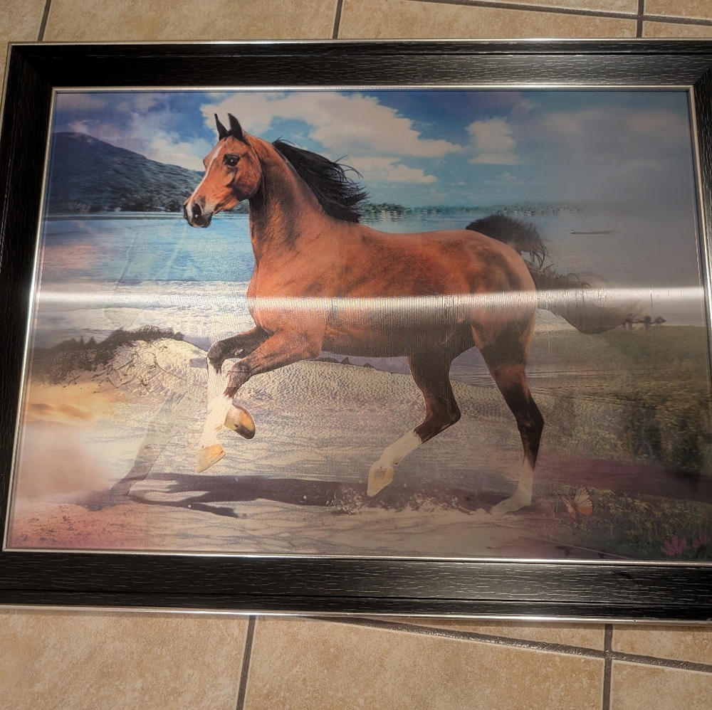 Framed Horse Art Print